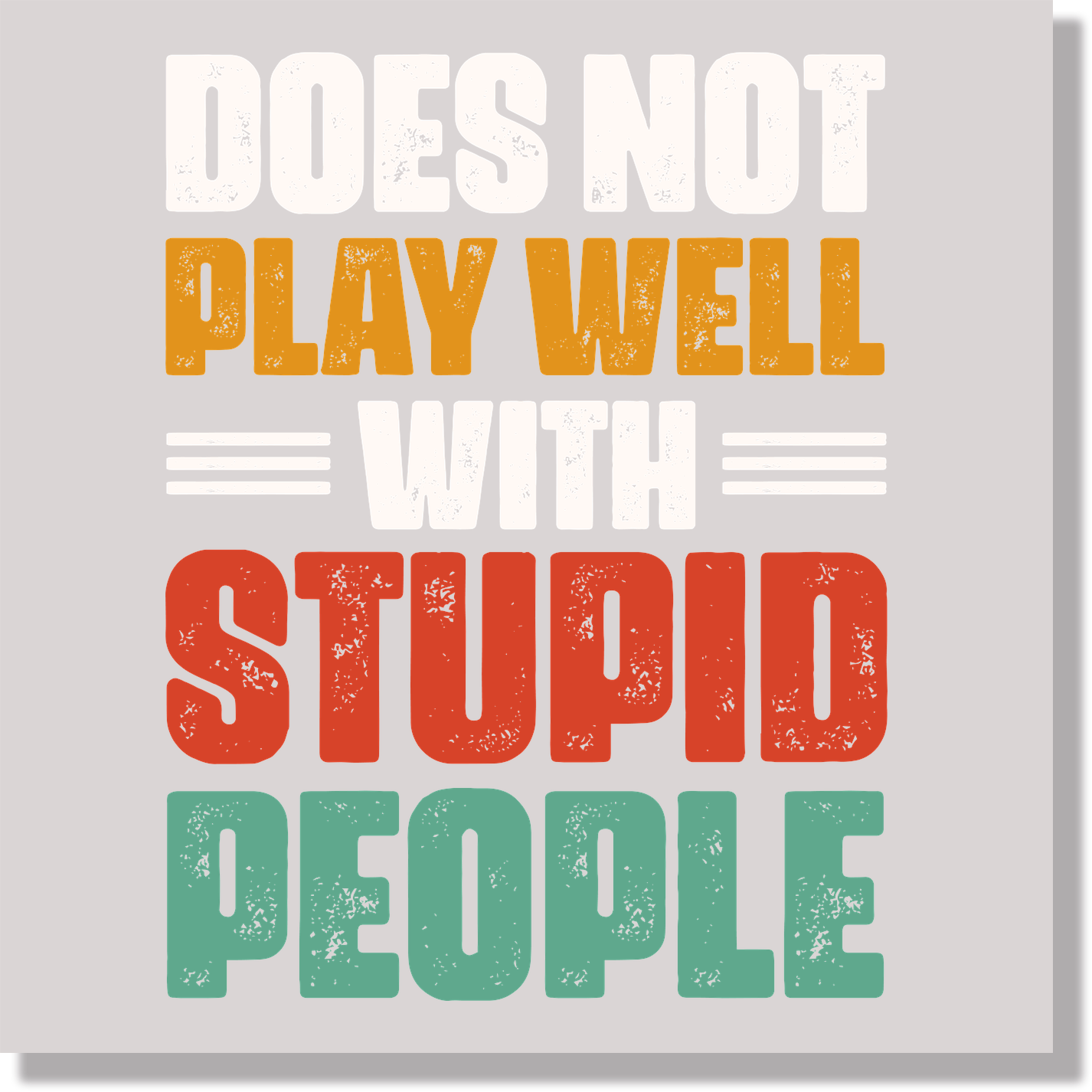 Does Not Play Well With Stupid People Funny DTF Transfer