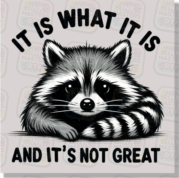 It Is What It Is And It's Not Great DTF Transfer - Ink Masters DTF