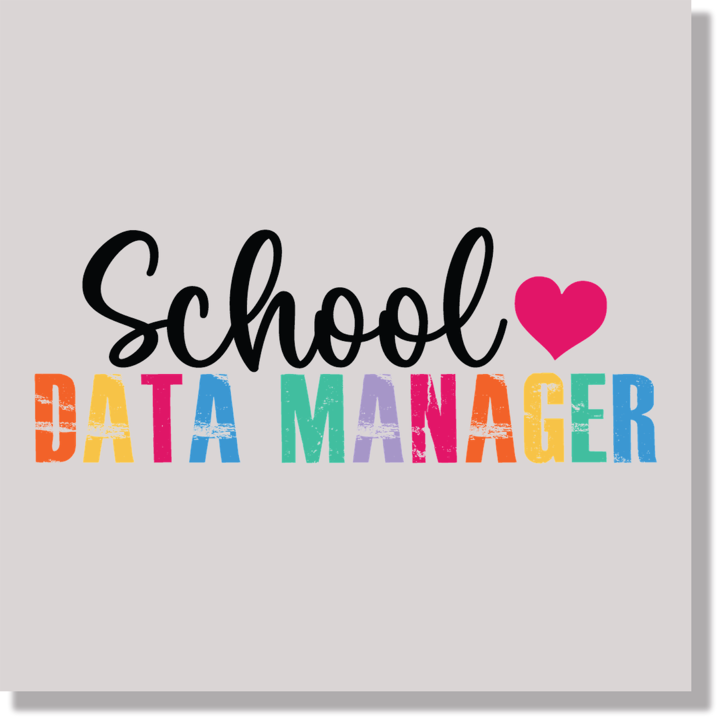 School Data Manager 1 DTF Transfer
