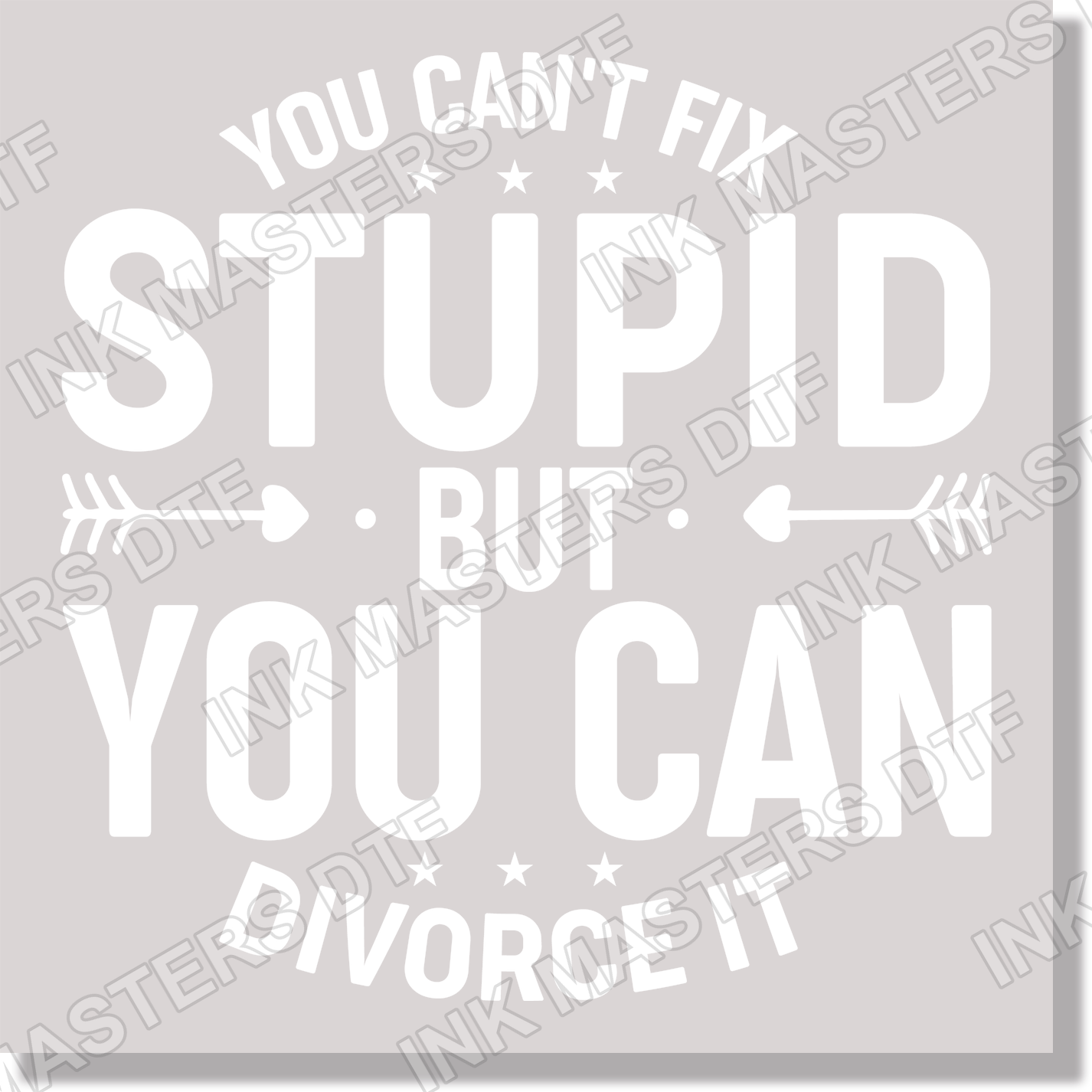 You Can't Fix Stupid But You Can Divorce It White Text DTF Transfer