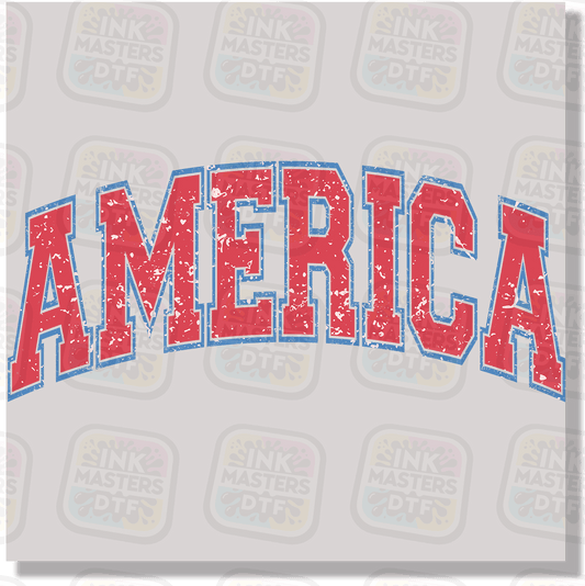 America DTF Transfer - Ink Masters DTF