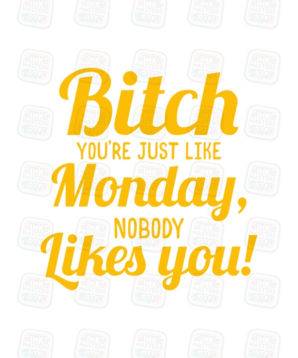 Bitch You're Just Like Monday, Nobody Likes You DTF Transfer - Ink Masters DTF
