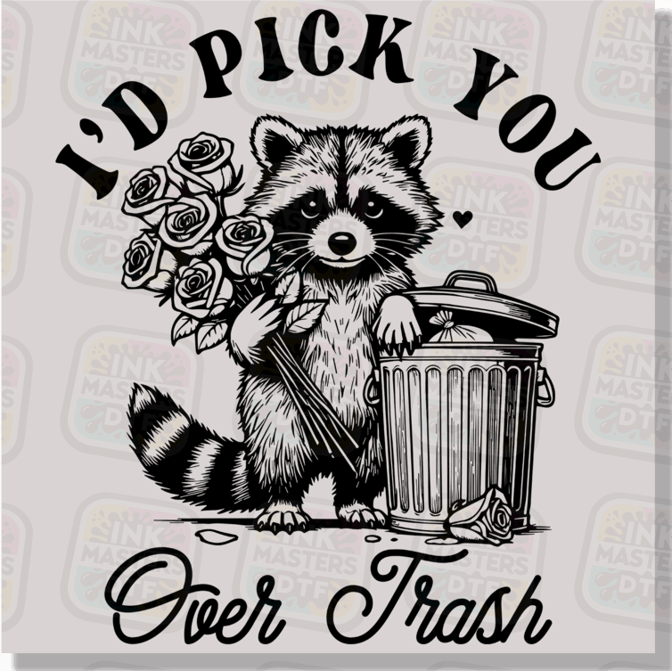 I'd Pick You Over Trash DTF Transfer