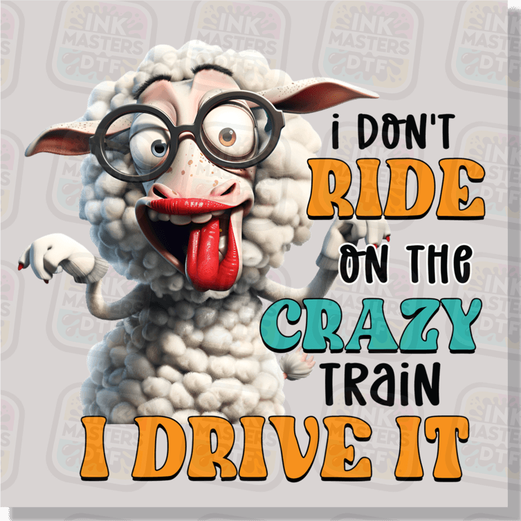 I Don't Ride On The Crazy Train I Drive It DTF Transfer