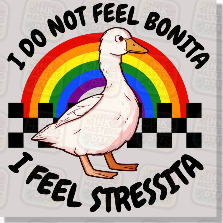 I Do Not Feel Bonita I Feel Stressita DTF Transfer