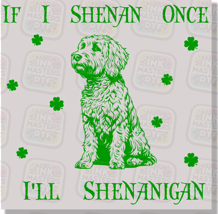 If I Shenan Once I'll Shenanigan Funny Doodle DTF Transfer