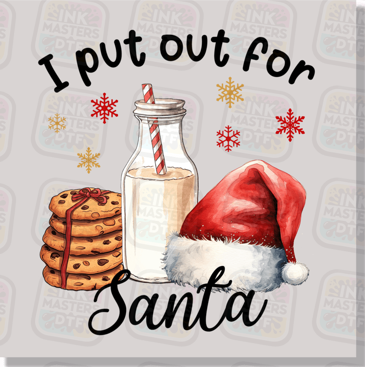 I Put Out For Santa DTF Transfer
