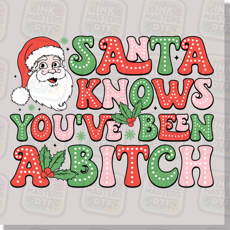 Santa Knows You've Been A Bitch DTF Transfer