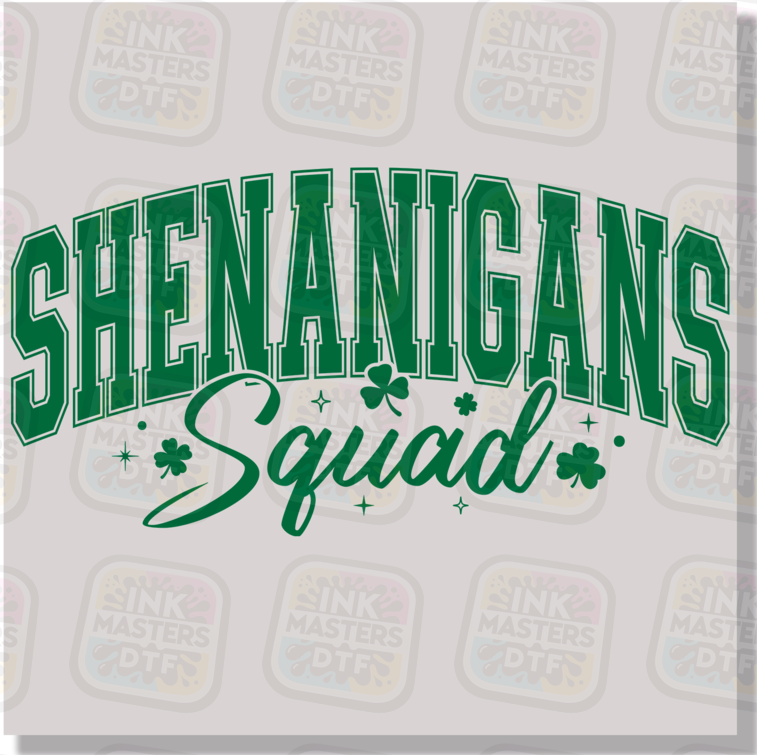 Shenanigans Squad DTF Transfer