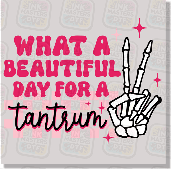 What A Beautiful Day For A Tantrum DTF Transfer - Ink Masters DTF