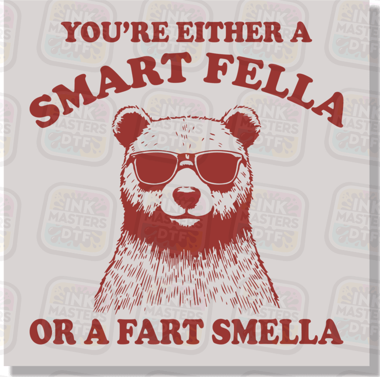 You're Either A Smart Fella Or A Fart Smella DTF Transfer