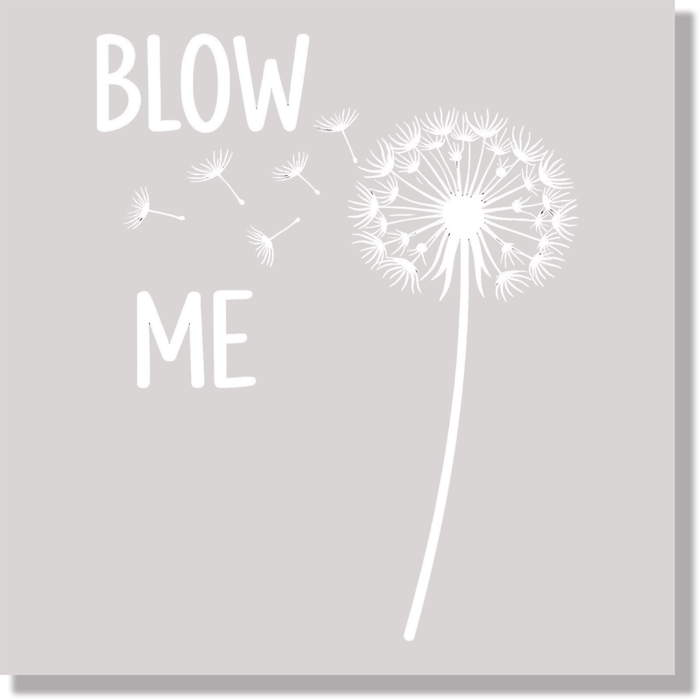 Adult Humor Blow Me Funny DTF Transfer