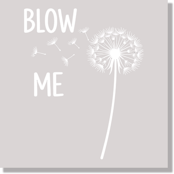 Adult Humor Blow Me Funny DTF Transfer