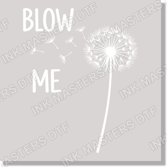 Adult Humor Blow Me Funny DTF Transfer