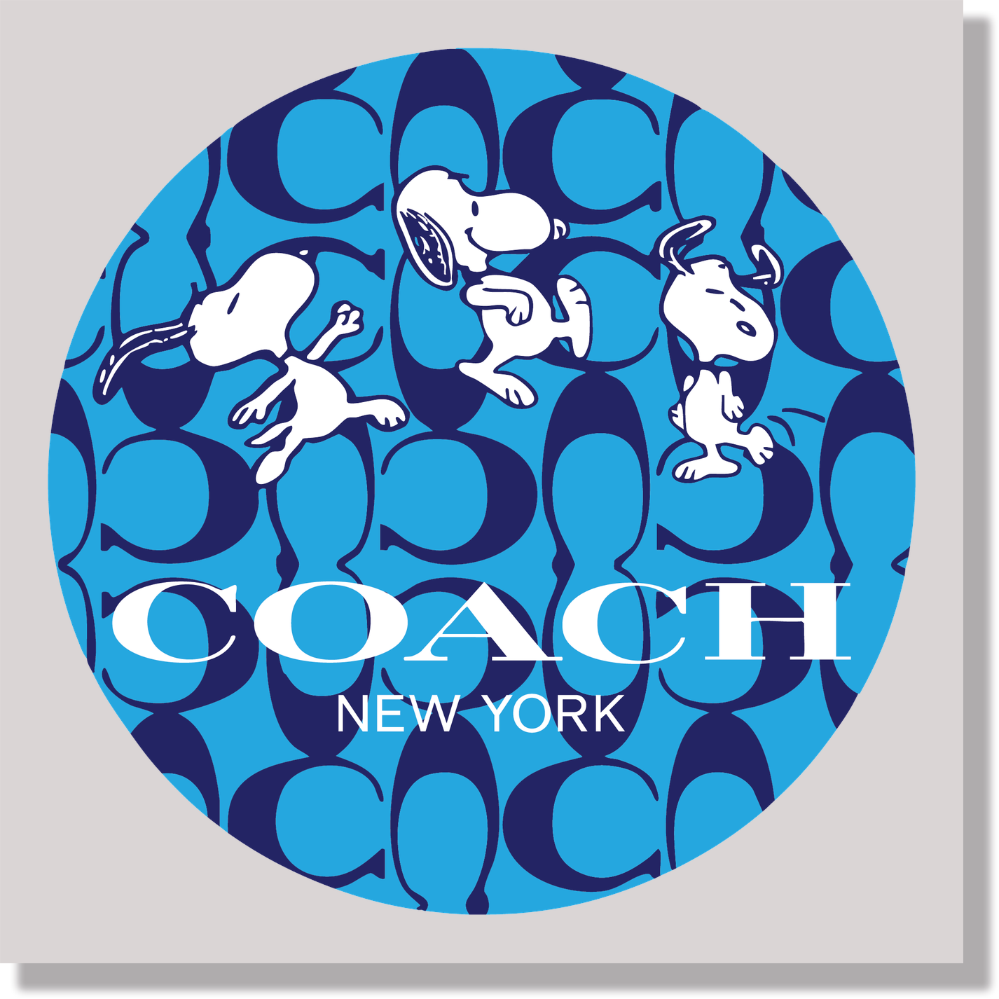 Designer Coach Blue Snoopy DTF Transfer