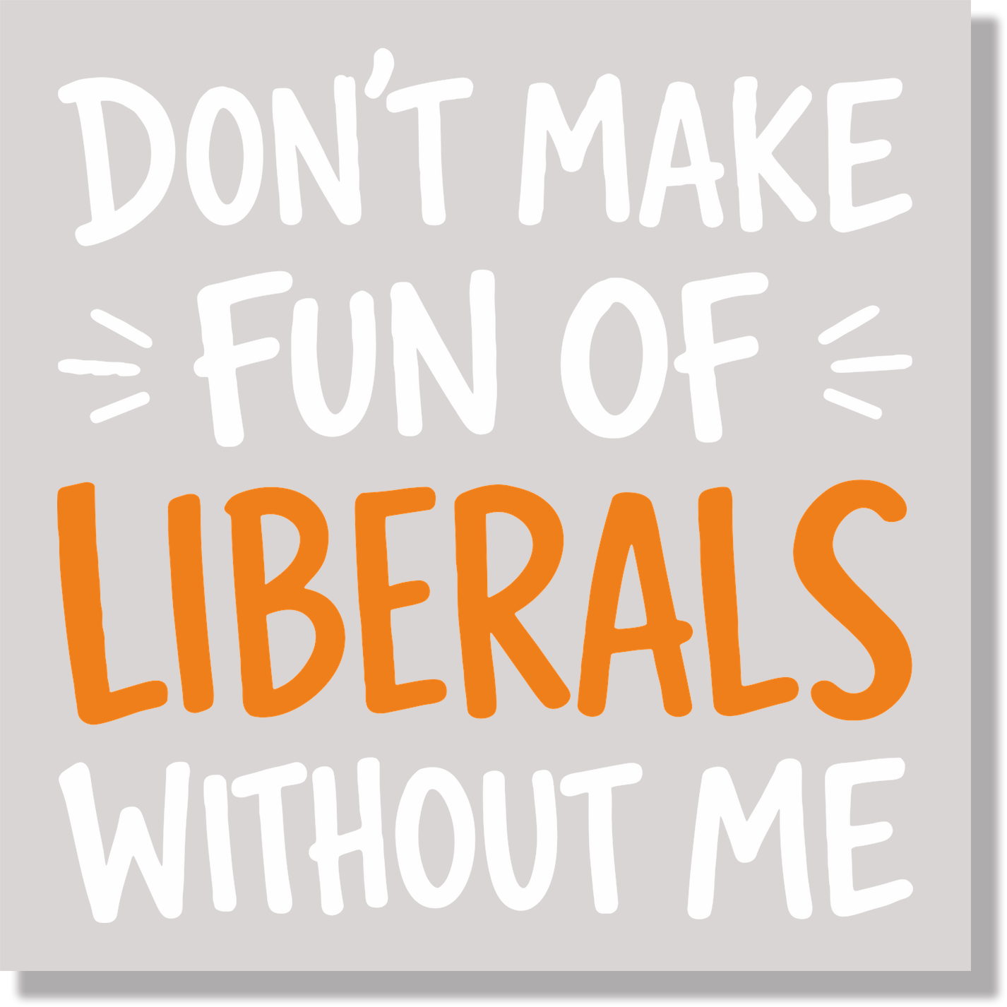 Don't Make Fun Of Liberals Without Me Funny DTF Transfer