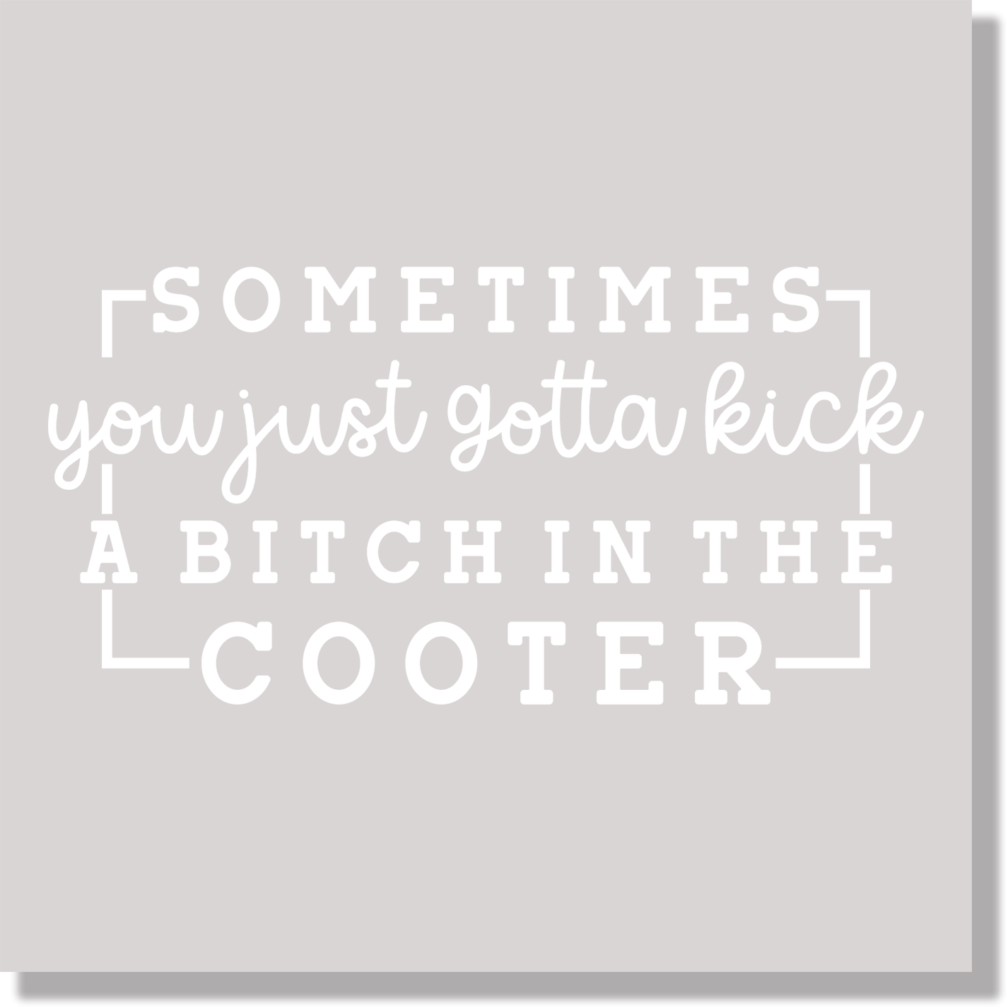 Funny Adult Humor Sometimes You Just Gotta Kick A Bitch In The Cooter White Text DTF Transfer