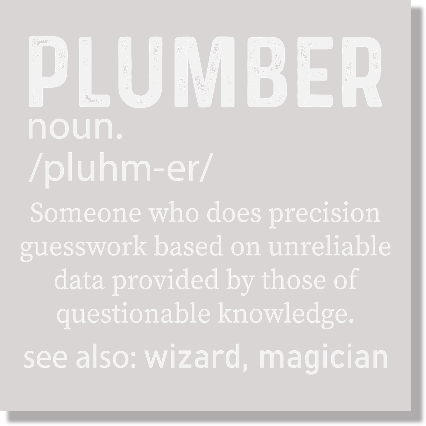 Funny Noun Plumber Definition Fathers Day DTF Transfer