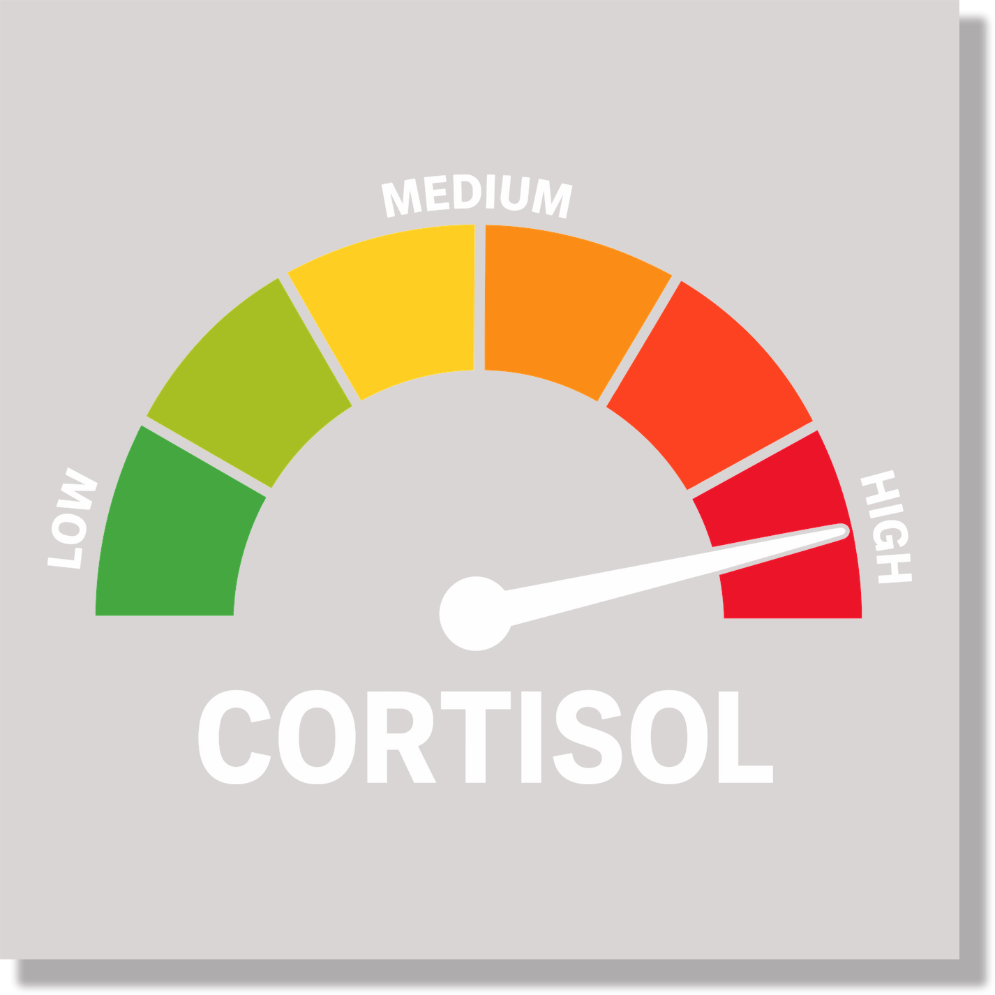 High Cortisol Funny DTF Transfer