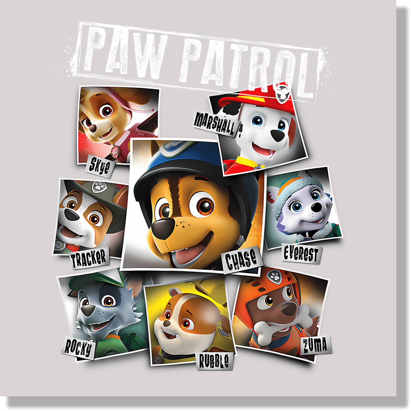 Paw Patrol Photos DTF Transfer