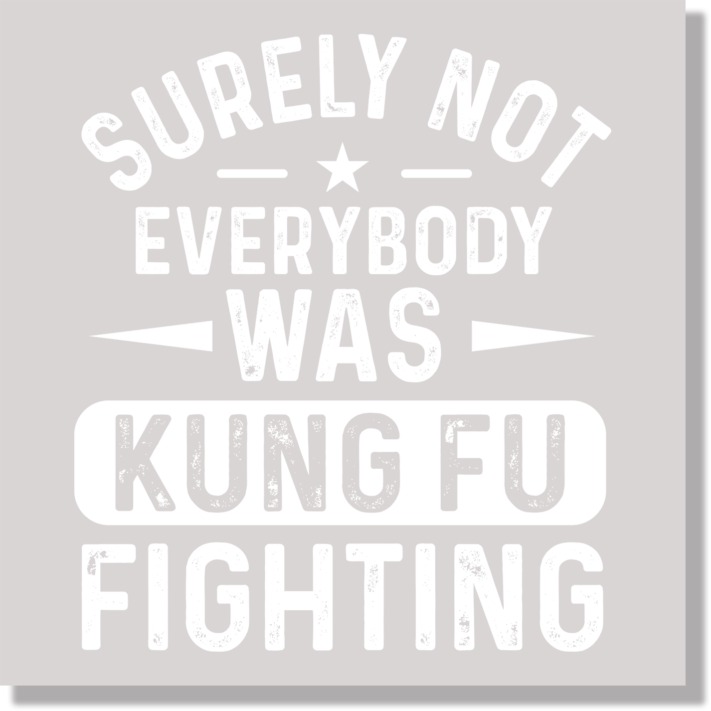 Surely Not Everybody Was Kung Fu Fighting  DTF Transfer