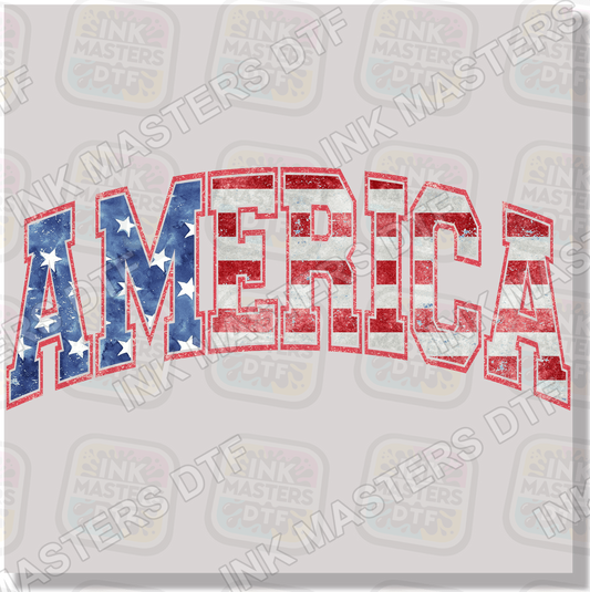 America DTF Transfer - Ink Masters DTF