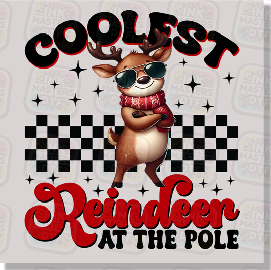 Coolest Reindeer At The Pole DTF Transfer