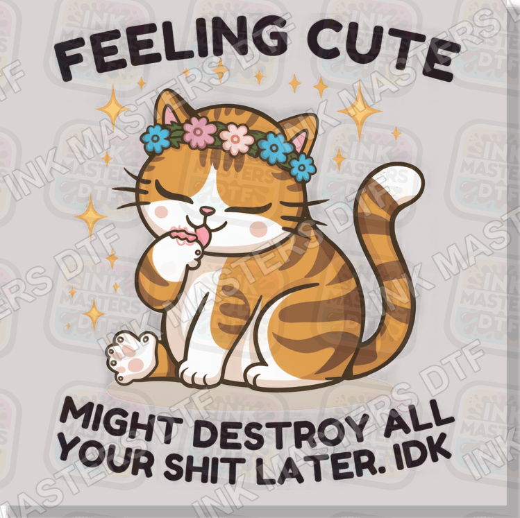 Feeling Cute Might Destroy All Your Shit Later IDK DTF Transfer - Ink Masters DTF