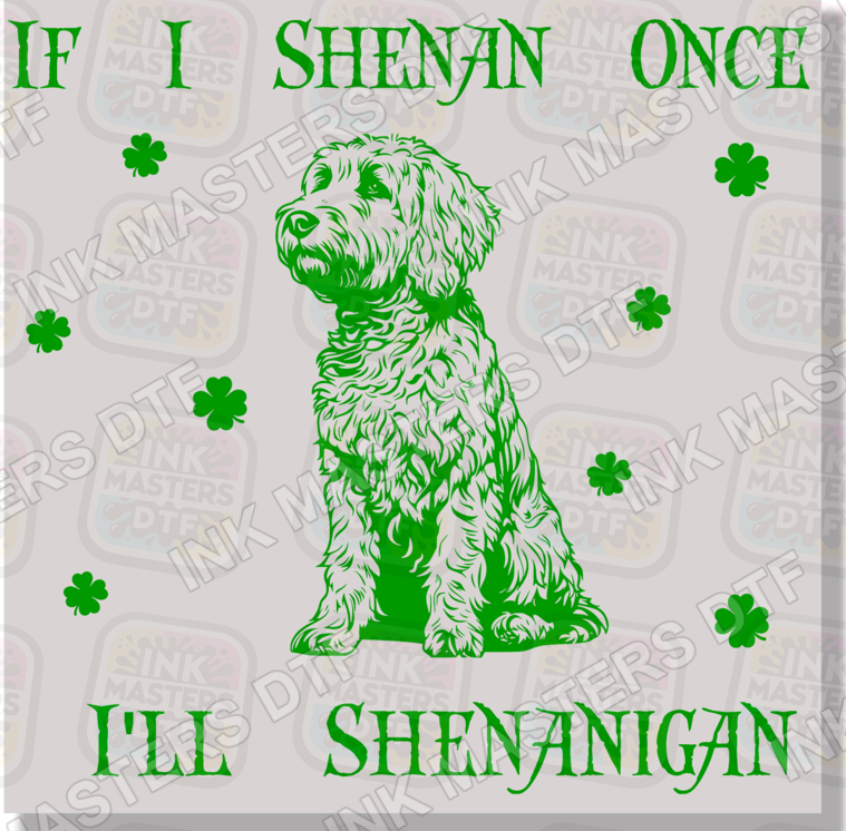 If I Shenan Once I'll Shenanigan Funny Doodle DTF Transfer - Ink Masters DTF