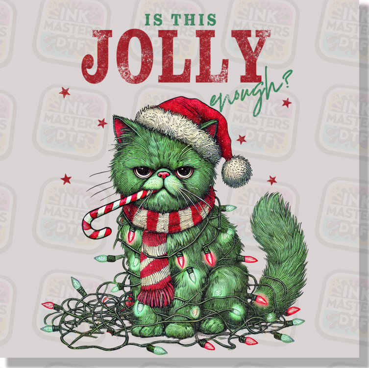 Is This Jolly Enough? Green Christmas Cat DTF Transfer