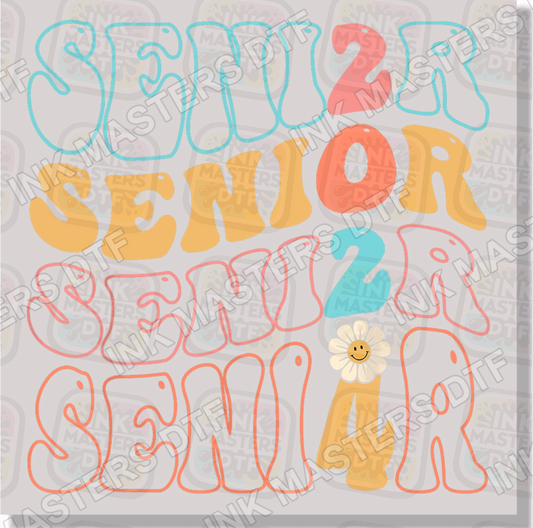 Senior 2024 Retro DTF Transfer - Ink Masters DTF