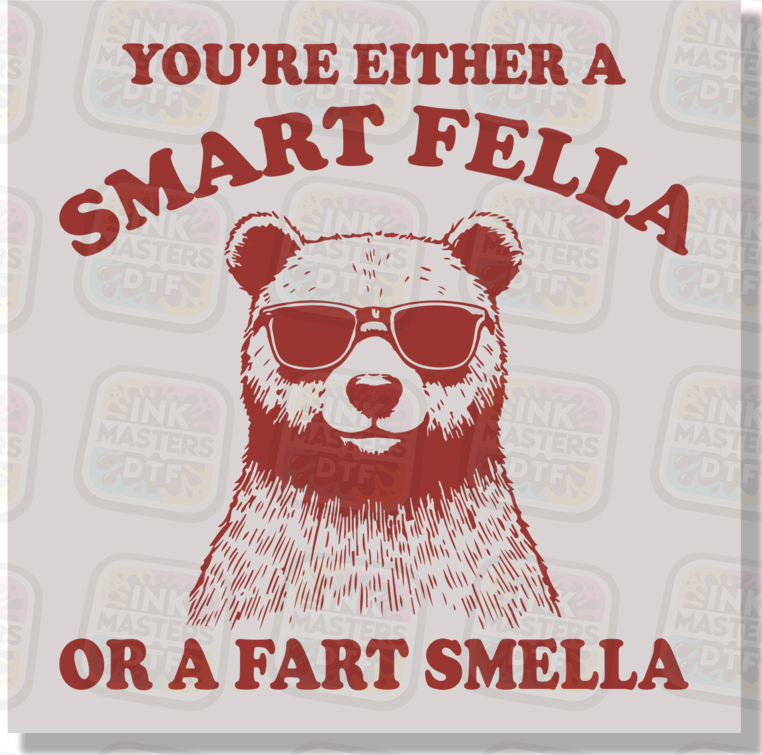 You're Either A Smart Fella Or A Fart Smella DTF Transfer