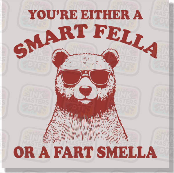 You're Either A Smart Fella Or A Fart Smella DTF Transfer - Ink Masters DTF