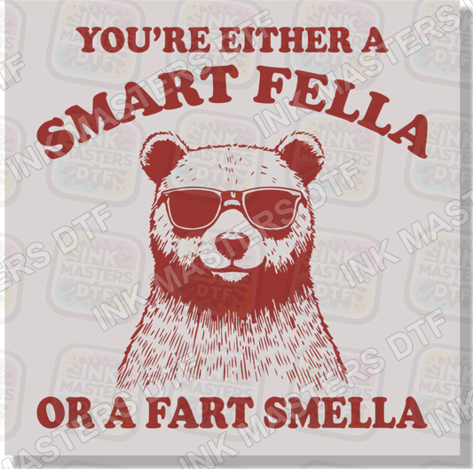 You're Either A Smart Fella Or A Fart Smella DTF Transfer - Ink Masters DTF